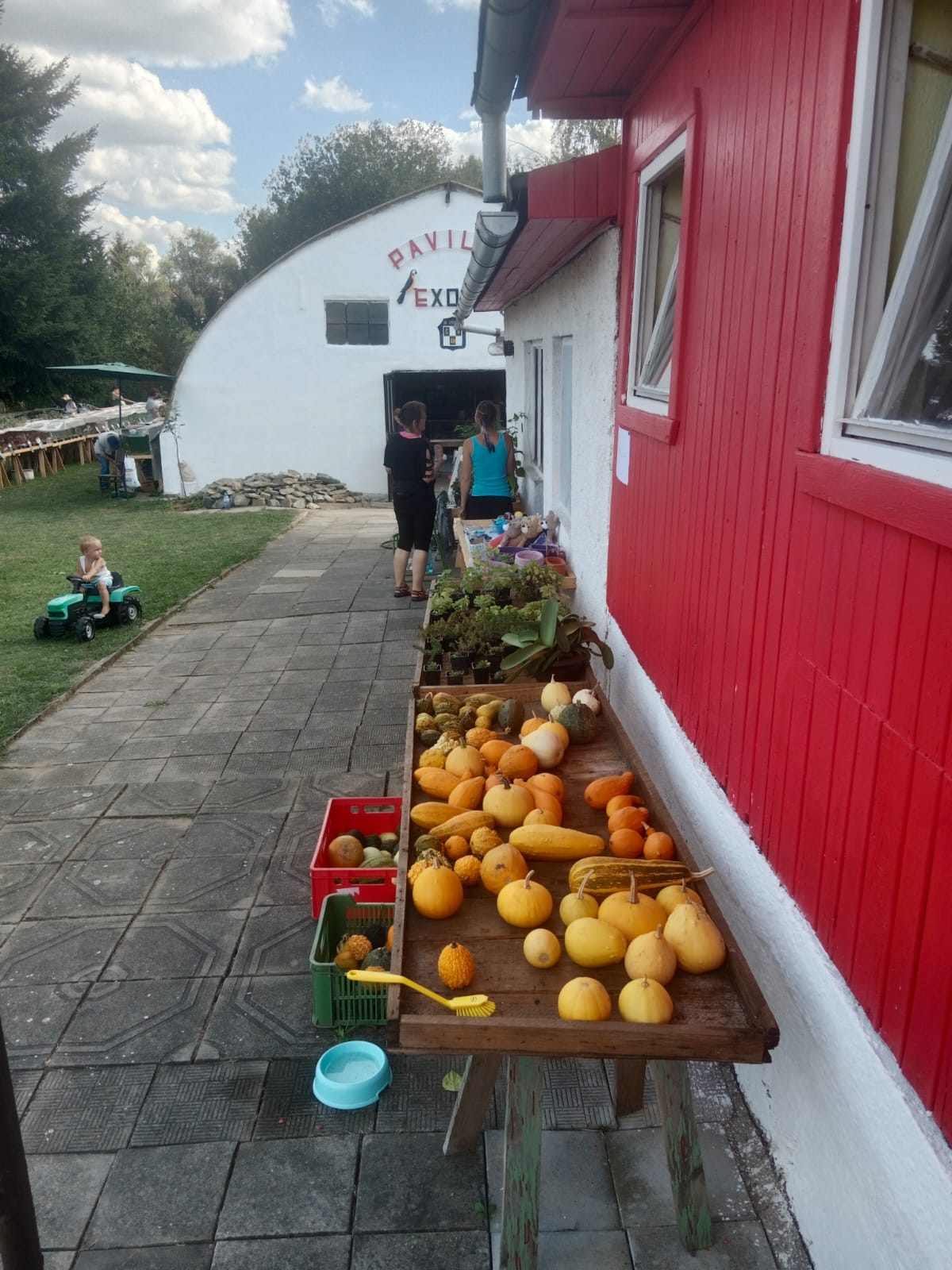 IMG-20240908-WA0027